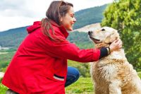Plataforma de adopci&oacute;n de mascotas creada por Laika