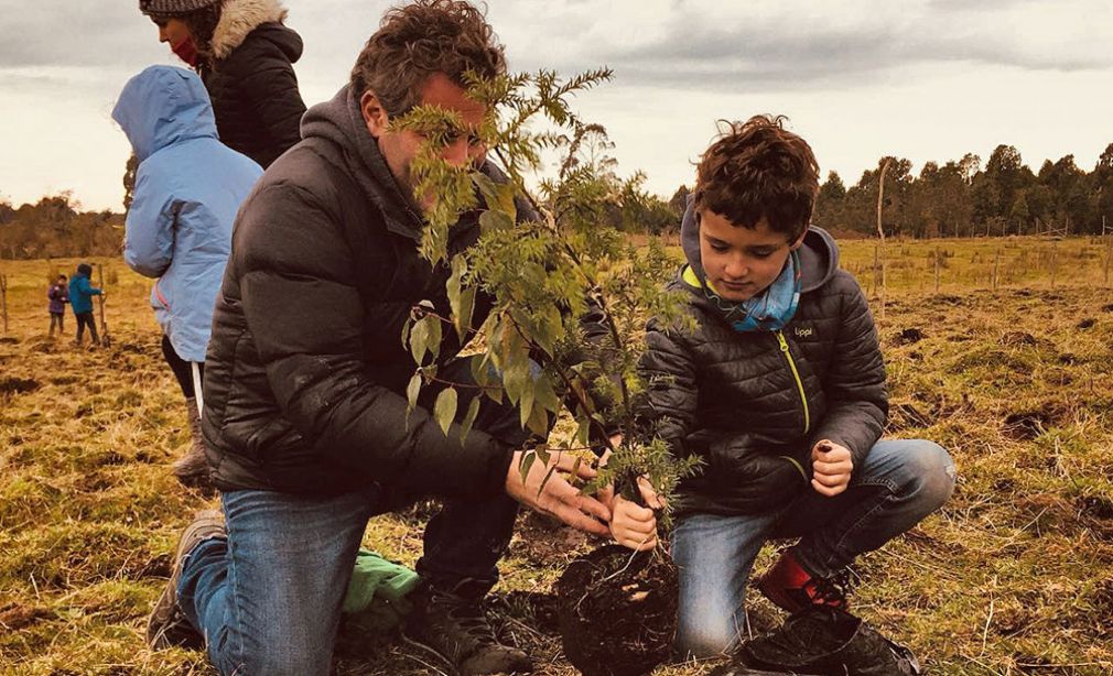 Hotel apoya proyecto de reforestaci&oacute;n en Chilo&eacute;
