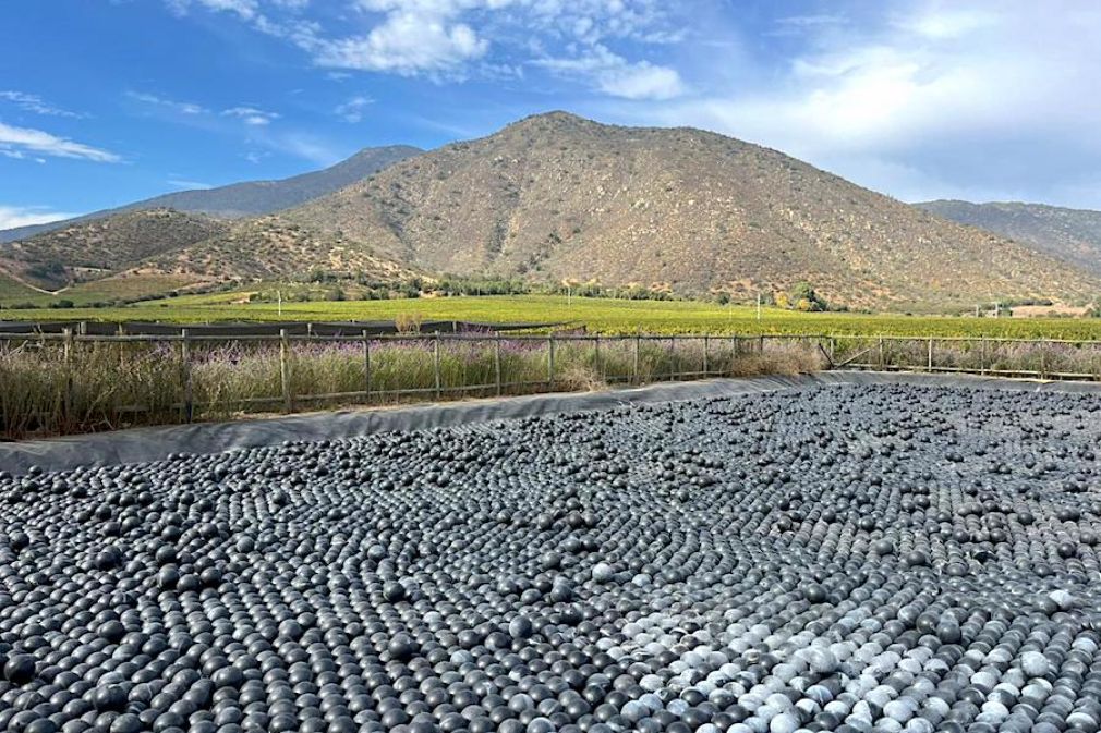Junto a emprendores, Viña Concha y Toro refuerza el upcycling