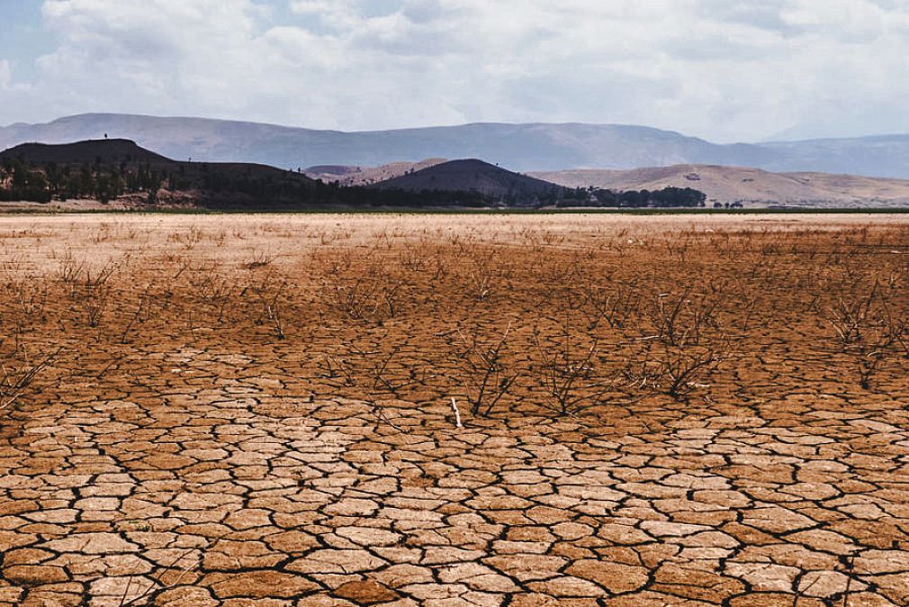 Tecnología como herramienta para enfrentar el cambio climático