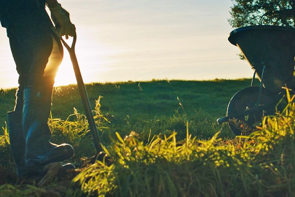 Campaña de Nestlé sobre su tránsito a una agricultura regenerativa