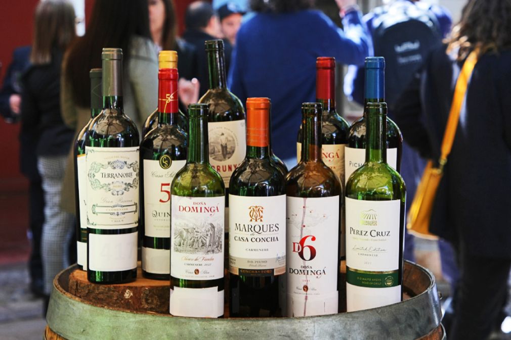 Carmenère Al Mundo 2022 ya tiene sus vinos ganadores