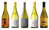 Tres vi&ntilde;as chilenas impulsan el rescate del Semill&oacute;n