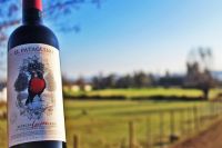 Primer ensamblaje de El Patag&uuml;ino en el D&iacute;a del Vino