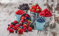 Chilena Hortifrut exportar&aacute; berries desde Colombia