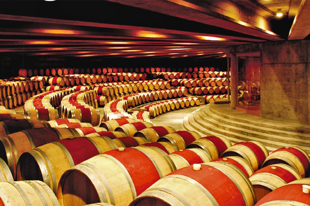 Cuatro chilenas entre las marcas de vino más admiradas del mundo