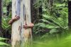 Inter&eacute;s de los chilenos por tener acciones sustentables