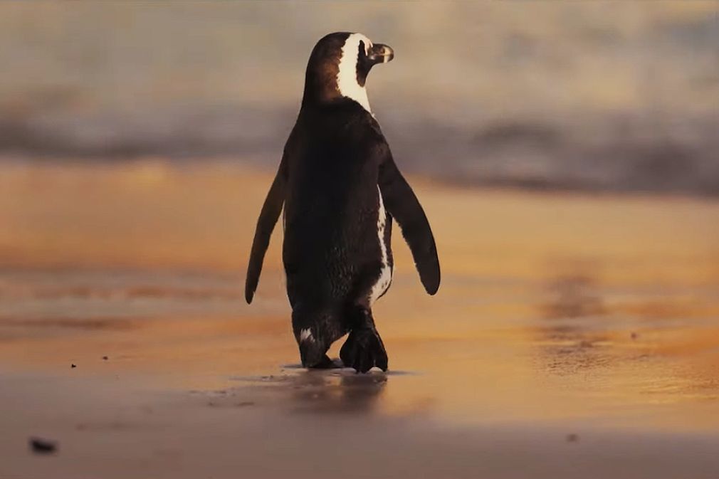 Penguin Random House elimina el pl&aacute;stico de los libros