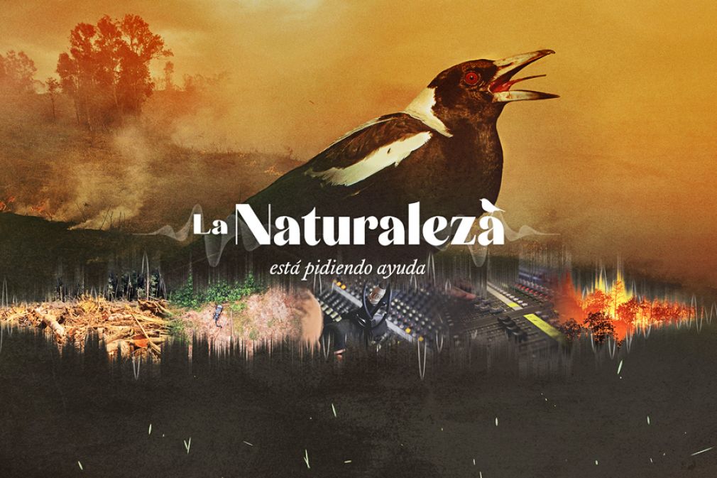 Wunderman Thompson &uacute;nica chilena ganadora en Clio