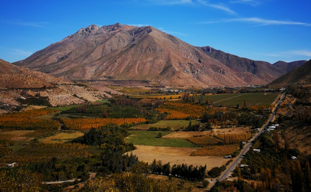 Tendencias: La década dorada del pisco chileno