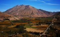 Tendencias: La d&eacute;cada dorada del pisco chileno