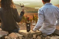 Vi&ntilde;a Santa Ema prepara celebraci&oacute;n del D&iacute;a del Vino