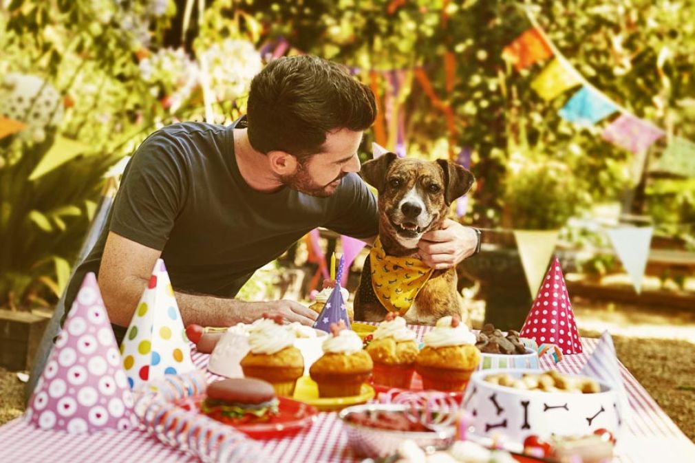 Ripley.com entra en la categoría de mascotas con Ripley Pets
