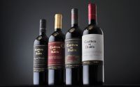 Casillero del Diablo: Mejor vi&ntilde;a del Nuevo Mundo