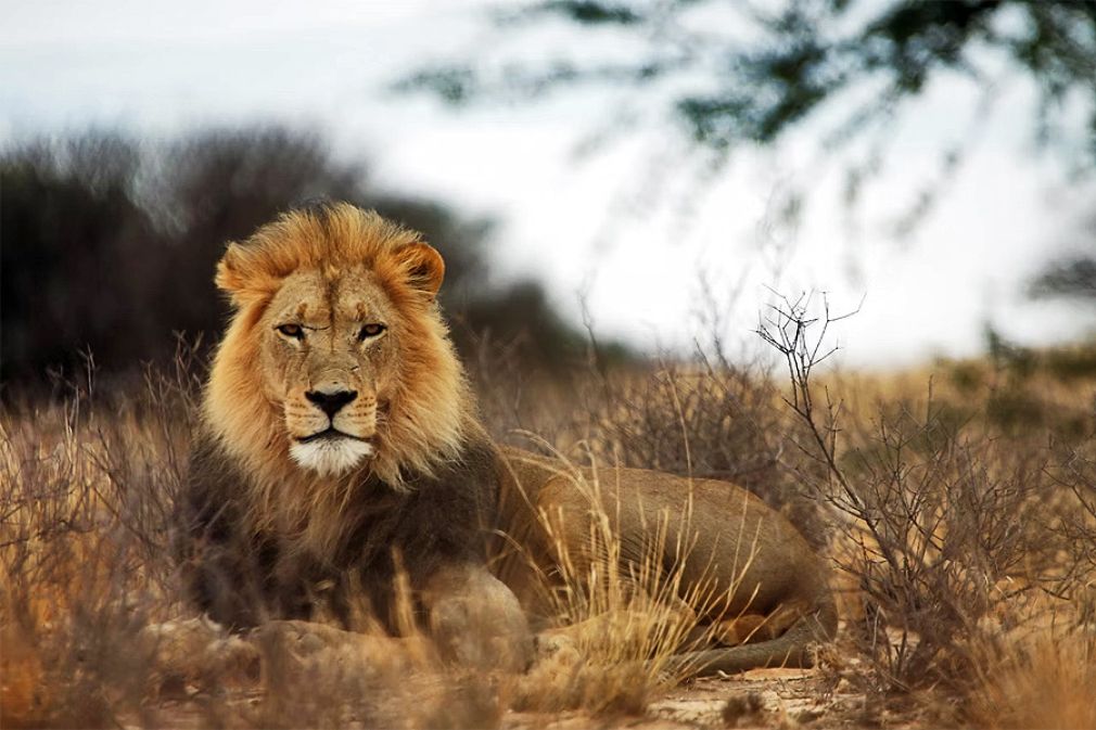 Tendencias relevantes en la creatividad seg&uacute;n Cannes Lions
