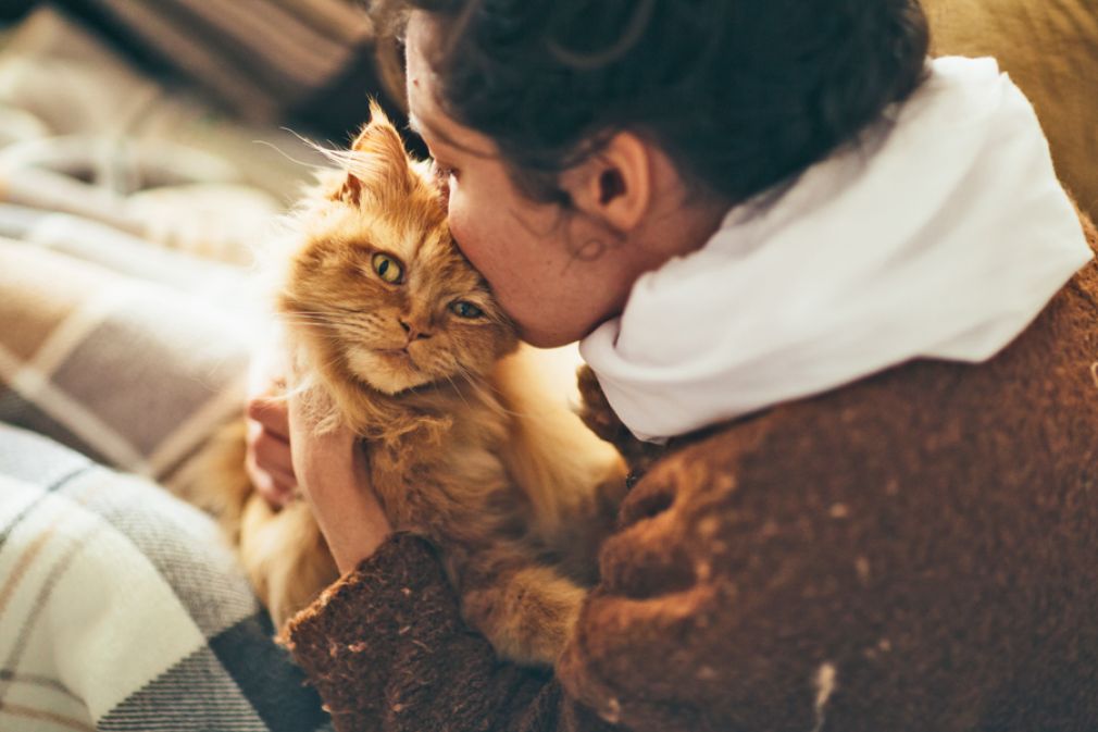 Iniciativas de Scotiabank hacia las familias con mascotas