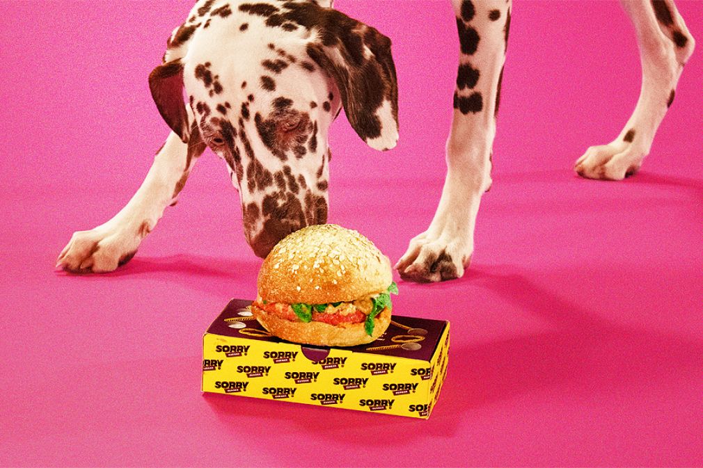 Sorry Burger experimenta con primera hamburguesa para perros