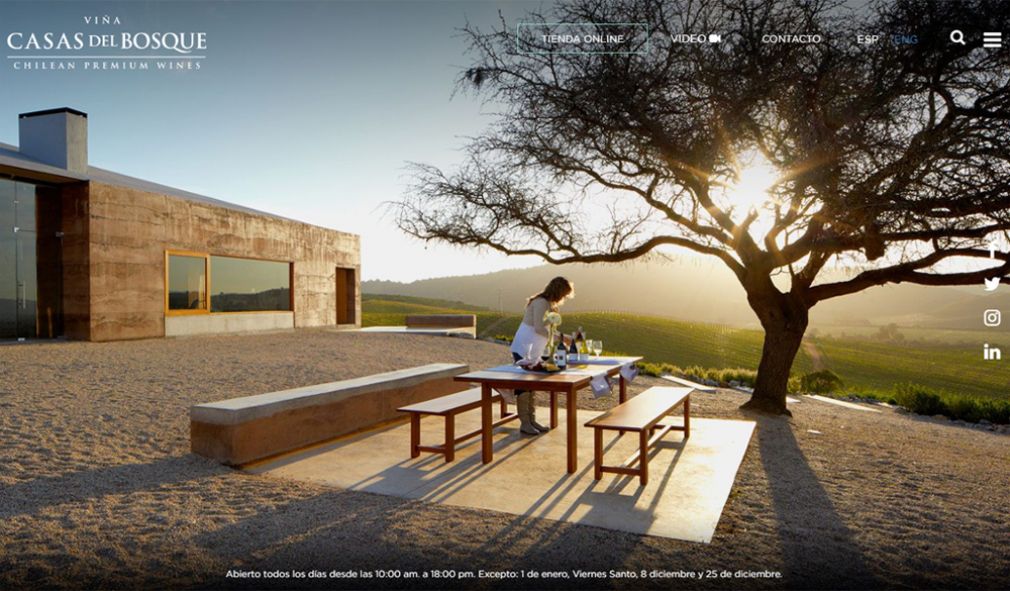 Premio internacional para sitio web de Vi&ntilde;a Casas del Bosque