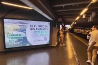 Acci&oacute;n vegana de v&iacute;a p&uacute;blica en el Metro de Santiago